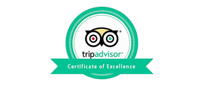 tripadvisor